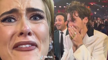 Reação de Adele ao ver Harry Styles ganhando Grammy de ‘Álbum do Ano’ gera memes na internet - Foto: Reprodução / TikTok