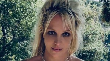Britney Spears veio à público falar sobre agressão sofrida - Reprodução: Instagram