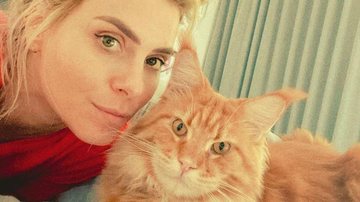 Carolina Dieckmann compartilha clique com seu gatinho e comemora lei que defende os animais - Instagram