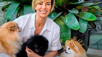 Ana Furtado curte momento com seus cachorros - Reprodução/Instagram